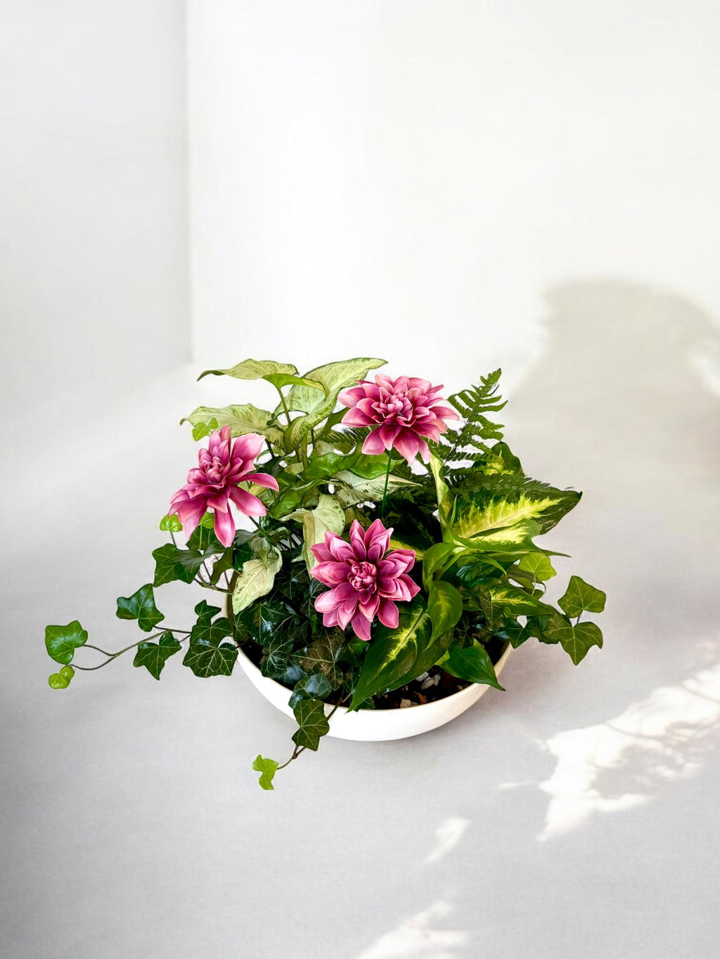 Dish Garden Foliage Arrangement - Large | White Base