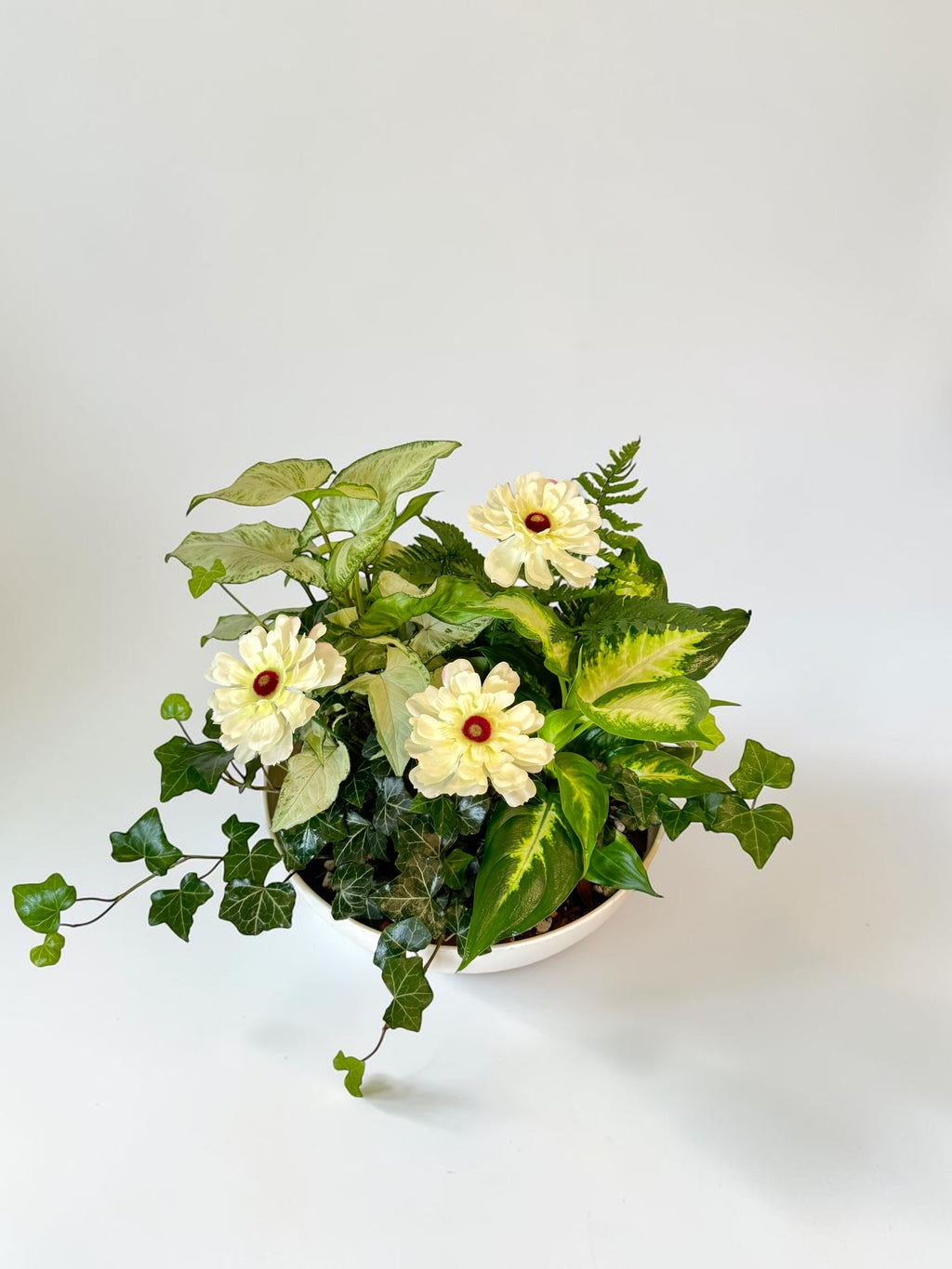 Dish Garden Foliage Arrangement - Large | White Base | Sympathy
