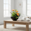 Dish Garden Foliage Arrangement - Large | Black Base