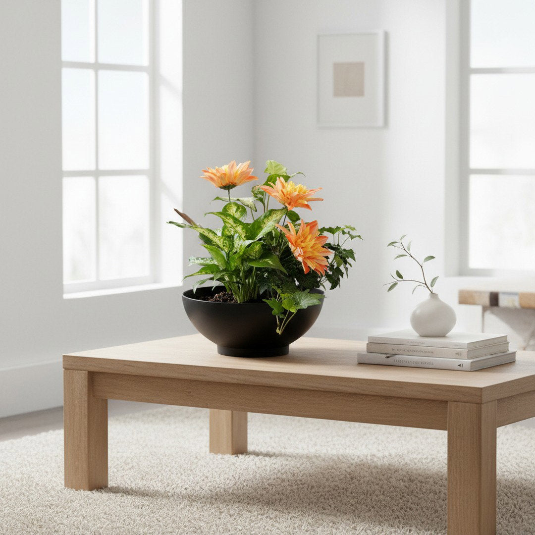 Dish Garden Foliage Arrangement - Large | Black Base