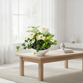 Dish Garden Foliage Arrangement - Large | White Base | Sympathy