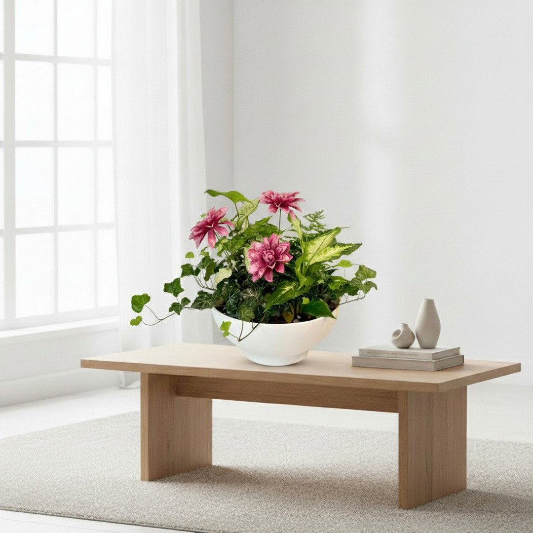 Dish Garden Foliage Arrangement - Large | White Base